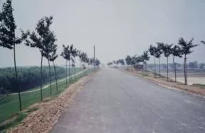 黄河大堤堤防道路工程